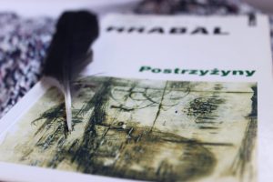 Read more about the article Postrzyżyny, Hrabal