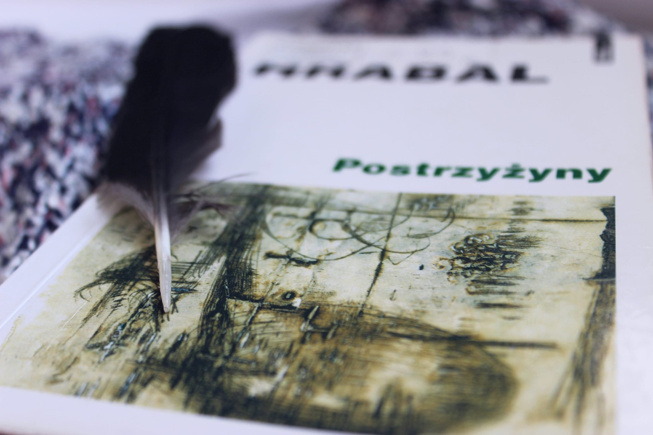 You are currently viewing Postrzyżyny, Hrabal