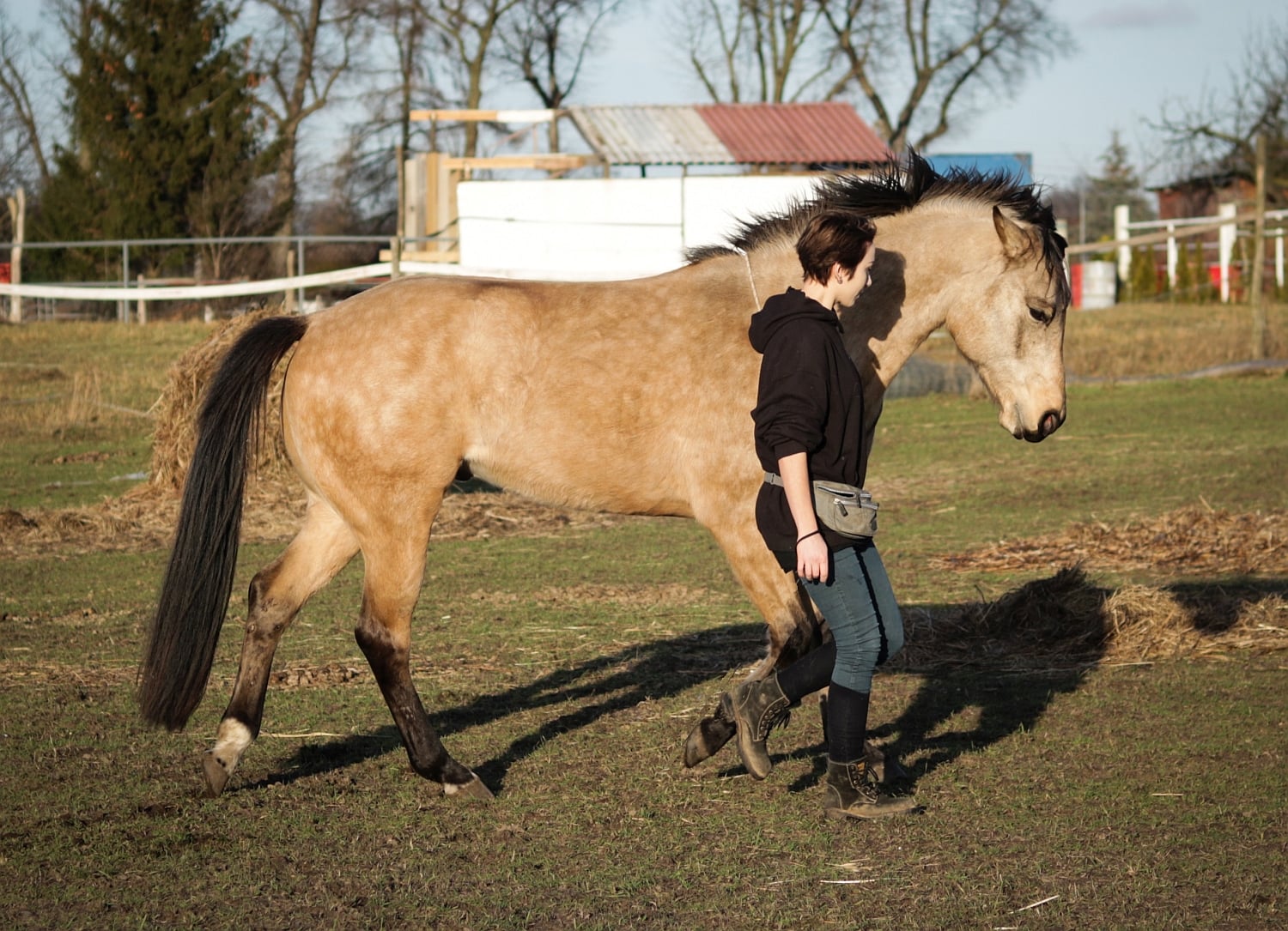 Read more about the article Projekt Pasja – Valentina: „koń ma do zaoferowania dużo więcej niż posłuszeństwo”